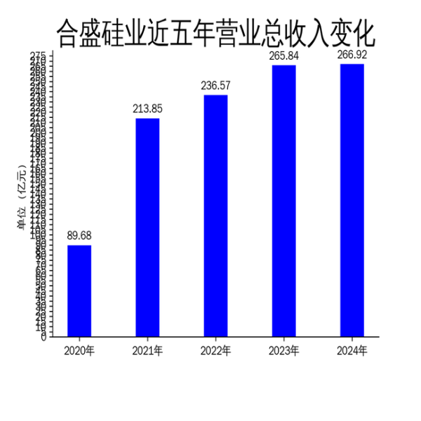 杨方策略 合盛硅业2024年财报: 净利润下滑33.6%, 工业硅与有机硅双龙头地位稳固