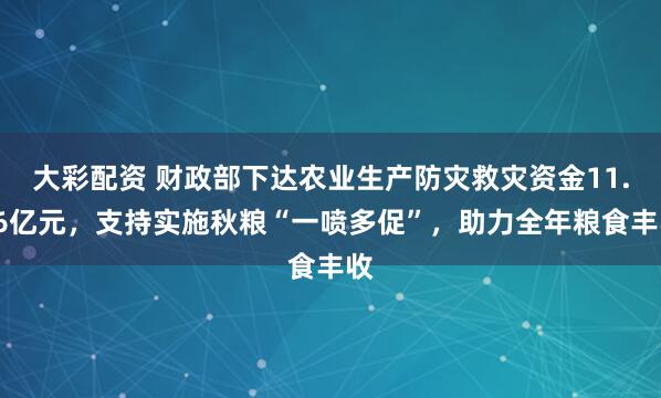 大彩配资 财政部下达农业生产防灾救灾资金11.46亿元，支持实施秋粮“一喷多促”，助力全年粮食丰收