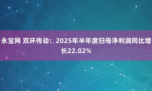 永宝网 双环传动：2025年半年度归母净利润同比增长22.02%