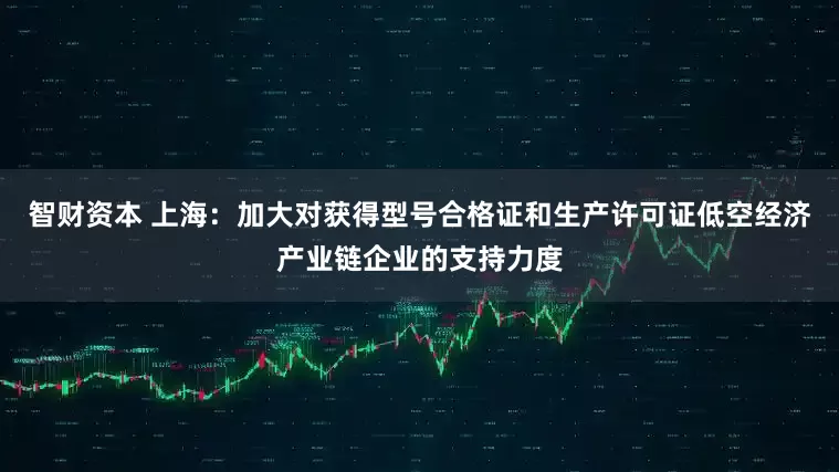 智财资本 上海：加大对获得型号合格证和生产许可证低空经济产业链企业的支持力度